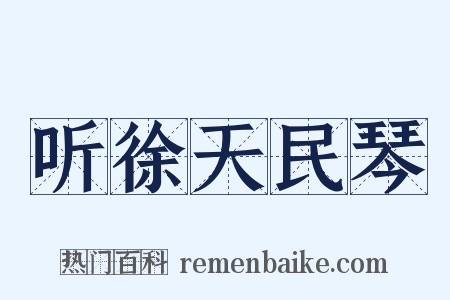 听徐天民琴是什么意思的图片